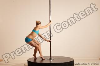 poledance reference 03 22